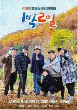 高清电影网 花儿与少年 综艺