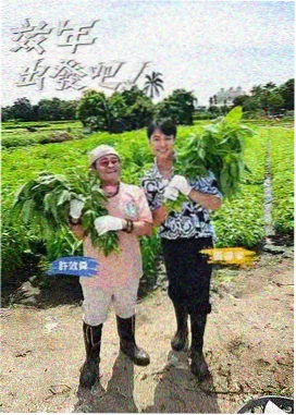高清电影网 极限挑战 综艺